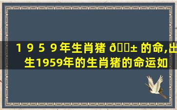 １９５９年生肖猪 🐱 的命,出生1959年的生肖猪的命运如 🐠 何